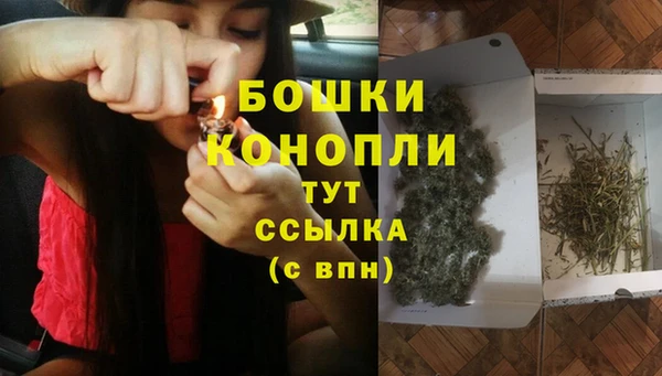 дурь Арсеньев